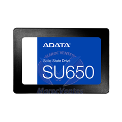 SU650 Disque Dur SSD SATA 2,5 Interne 256Go