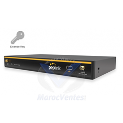 Licence d'activation WAN virtuelle Peplink pour B20X BPL-021X-LC-VWAN
