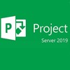 Project Server 2019 Licence 1 Serveur Single Language